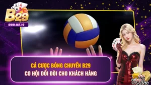 Cá Cược Bóng Chuyền