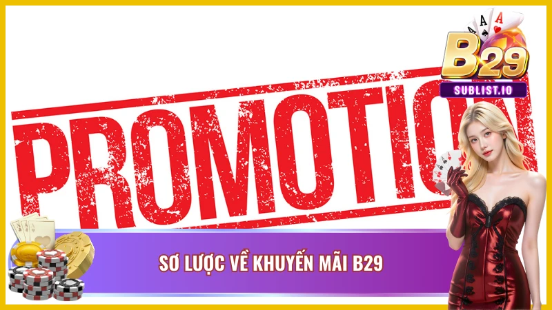Tổng quan về Khuyến mãi B29